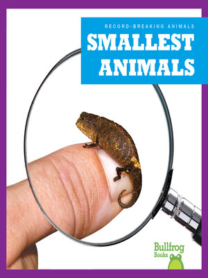 cover image of Smallest Animals
